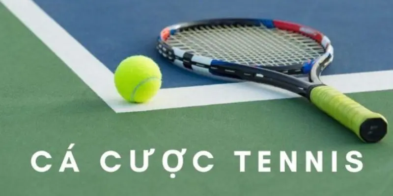 Cá cược tennis vô cùng sôi động