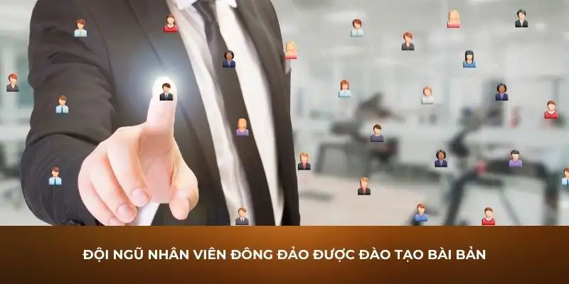 Đội ngũ nhân viên đông đảo được đào tạo bài bản