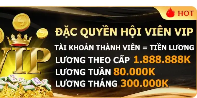 Thăng cấp thành viên VIP New88 cho hội viên